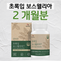 우슬 초록 입 홍합 치커리 보스웰리아 하루 2정 보스웰릭산 초록홍합 버드나무 껍질 홈쇼핑 골드 플래티넘 영양제 프리미엄 성분 가격 효능 비교 부모님 엄마 아빠 시부모님 선물, 2개월분, 1000mg x 60정 (하루두알)