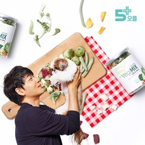 오플 동결건조 야채믹스 40g / 강아지 밀키트 간식 반려견