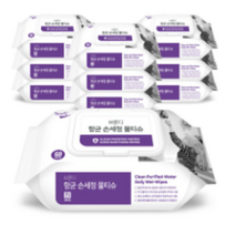 브론디 항균 손세정 물티슈, 10팩, 60매