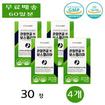 프롬바이오 출산 육아 관절 연골 무릎 엔 보스웰리아 건강 효능 부모님 직장인 30정 4개