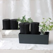 [천연가습기] 참숯과 수경식물 제습효과 가습효과 백탄 참숯, 실버, 20cm, 무늬아이비