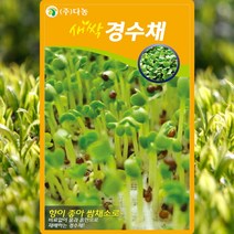 새싹경수채 씨앗 새싹경수채 씨 종자 30g, 단품