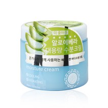 예리나 알로에베라 대용량 수분크림 300ml, 단품, 1개