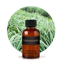 에센셜오일 레몬그라스 Lemongrass E.O, [ 10ml ]