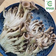 [온도씨] 가락시장 느타리버섯 500g, 상세 설명 참조
