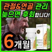 인도산 보스웰리아 플러스 글루코사민 간편한 경구용 먹는 보수 보이스 벨리아 넬리아 엘리아 보스웰릭산 추출 akba kba 관절 연골 노화 무릎 무릅 허리 척추 손가락 보조제 보충제, 180정 / 6개월분