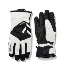 골드윈 유니 레더 스키장갑 GJ3GL50/가죽장갑 스키복, GJ3GL50(WH)