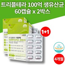 3세대 어르신 어른 노인 락토생 백억 유산균 알약 락토바실러스 가세리 루테리 불가리쿠스 아연 특허 균주 미국 직수입 식물성 캡슐, 2박스