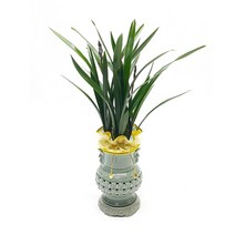 77플라워 산천보세9 투각분 동양란 난배달 영전 진급 임원 취임 개업선물