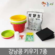 강낭콩키우기 7종, 단품