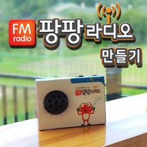 팡팡 FM 라디오 만들기