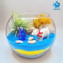 백곰과 친구들 - 틸란(이오난사) 원형볼 12cm 테라리움 DIY키트 세트, 옥색