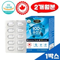 데일리플랜 100억 유산균 프로바이오틱스 모유유래 60캡슐 어린이 키즈 NCFM 생유산균 가세리 루테리