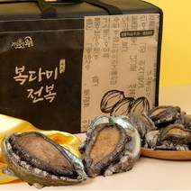싱싱해 완도 활 전복 선물세트, 1box, 3호 (대)10-11미 1kg
