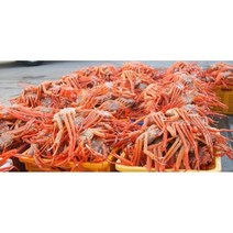 [ 선주직송 ] 연지홍게 포항 구룡포 홍게 자숙 프리미엄 5kg [ 당일조업 당일발송 ], 5kg x 1개, 1개
