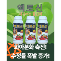 꽃분분화수정률증가 증수증량 엑토신500ml