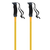 아토믹 스키폴대 Atomic 폴 Amt Sqs, 125cm 사프란