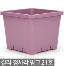 칼라 사각화분 21호 - 정사각 분갈이 인테리어 플분 플라스틱 재배분 식물 분배분 베란다 사각 화분, 09_세인_칼라정사각_21호(핑크)