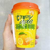 쥬시쿨 에이드 (금귤_감귤) 250ML X 5개, 종이박스포장