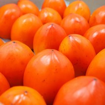 더조은푸드 [더조은] 달콤한 대봉감 4.5kg(22-25과), 1