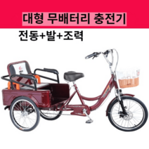 고령자용 세발자전거 전동보조 여객 화물겸용, 자차 플러스 플러스(배터리 충전기 없음)