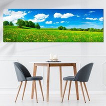 재산운 풍경 심리치료 인테리어 와이드 액자, 11.민들레 들판, 와이드 30호 90x30+꼭꼬핀 사은품