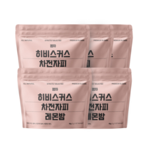 뻥차 히비스커스 차전자피 레몬밤 핑거루트 펜넬 블랜딩티 생분해성 삼각티백 긴끈 카페인없는 물대신차, 2g, 100개입