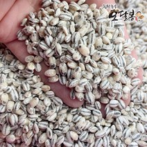 힘찬농부 국산 흑보리 검정보리쌀 흑찰보리, 1개, 4kg