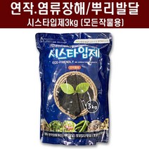 시스타입제3kg - 규산 비료 토양개량제 땅부자 텃밭 퇴비 상토 염류장해 도움, 1포