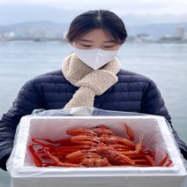 [품질보장] 홍게 박달대게 여니수산 연지 자숙 제철 속초홍게 2kg 3kg, 프리미엄 홍게, 생물