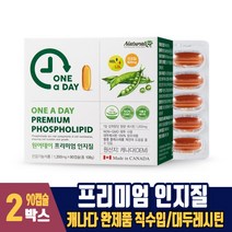 원어데이 프리미엄 인지질 100% 식물성 대두 레시틴 포스파티딜콜린 캐나다 완제품 직수입, 2박스, 90캡슐