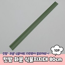 싱싱 식물비타민 280g 복합비료 키우기 종합 화분 비타민 제 식물, 본상품선택