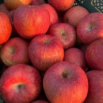 경북 사과 햇 부사 소과 4.5kg(25-28과내)