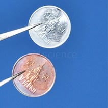 21세기과학상사 [21세기] 은화 금화만들기 (10인용) - 방과후학교