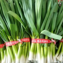 당일손질 산지직송 깐풋마늘 흙풋마늘 1kg 3kg 5kg 잎마늘 마늘대, 흙풋마늘1kg, 1개