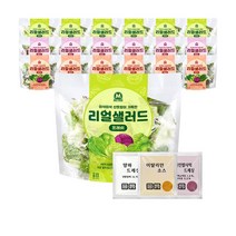 미트리 리얼 샐러드 3종 혼합, 70g, 18팩