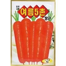 당근씨앗 여름5촌당근 4g 동원씨앗, 1개