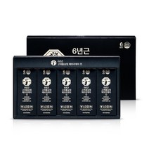 6년근 고려홍삼정 에브리데이 진 홍삼스틱 선물세트 15gx30포 + 쇼핑백증정, 1개, 450g
