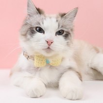 집사의의무 고양이 강아지 리본 케이프 나비넥타이, 옐로우