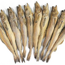 용대리 황태 통황태 국내 자연건조, 통황태 특 10미(47~49cm)