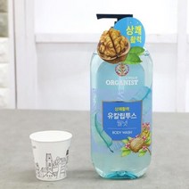 유칼립투스 향기좋은 바디워시 900ml x 2개 대용량 대형 바디 클렌져 클렌저 여성 남성 여자 남자 오래가는 향 향지속 땀냄새 몸냄새 사춘기 여학생 남학생, 유칼립투스 900ml x 2개