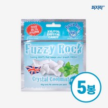 퍼지락 자일리톨 무설탕 캔디 쿨민트맛 40g 5개 세트구성, 단품
