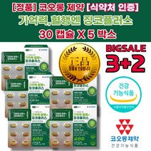 혈행 혈압 혈액순환 제 뇌 기억력 에 좋은 음식 맞춤 영양 제 징코플러스 은행 잎 아연 많은 효능 추출물