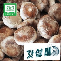 두메골농원 영양 무농약 버섯 착한 송이 500g 상품