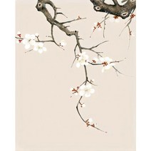 쉬운 diy피포페인팅 사군자 매화 난초 국화 대나무 매란국죽 행복 재물 풍수 수묵화 동양화 색칠하기 선물용 슬기로운 취미생활 집중력향상 스트레스 해소 그림그리기 소품, 사군자그리기도안10, 40*50cm(액자프레임포함)