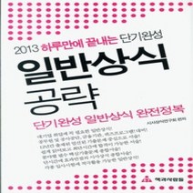 [개똥이네][중고-최상] 일반상식 공략 (2013)