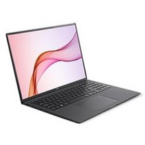 LG 2021 그램 16, 옵시디안 블랙, 코어i5 11세대, 256GB, 16GB, Free DOS, 16ZD90P-GX5LK