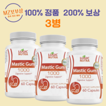 로직 뉴트라 매스틱 검 1000mg 다이제스티브 서포트, 3개, 120정, 120정