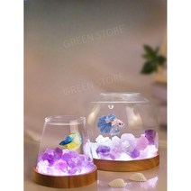엔젤피쉬 어항 수조 물고기 키우기 구피 물고기키우기 아크릴 미니 금붕어키우기 수족관 작은 어항 사무실 바탕 화면 미니 유리 탱크 창조적 인 빛나는 크리스탈 스톤 베타 투명한 둥근, 작은 벌거벗은 실린더 + 차가운 백색 램프 기초