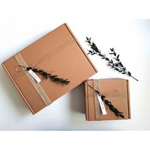 기프트아이 크라프트 선물 상자, 10개, 대(장식미포함)